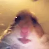 Terry Passmore - @..press - TikTok