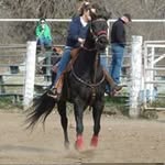 Terri Patrick - @terriberri427 - Instagram