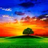 Terry Patrick - @terry.patrick - TikTok