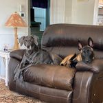 Teri Pennington - @reidsnanasboy1 - Instagram