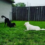 Terri Petersen Roth - @terri11063 - Instagram