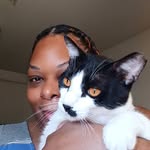 Terri Young - @terri_petitsgateaux - Instagram