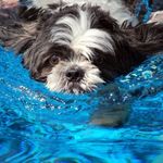 Terri Pfaff - @terrianddavepfaff - Instagram