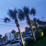 Terry Phifer - @terry.phifer - Instagram