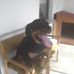 Teri Pinter - Facebook