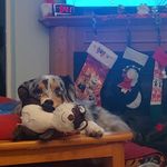 Terri Plummer - @terri.plummer.56 - Instagram