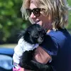 terripompay41 - @theanimalsclubexotics - TikTok