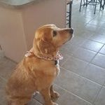 Terri Myers Potter - @terripotter5478 - Instagram