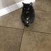 Terry Potter - Facebook