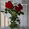 Mimi - @terripowers535 - TikTok