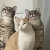 Terri Power - @terri.power02 - TikTok