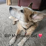 Terri Wiest-Powers - @terripowers42 - Instagram