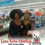 terri pratt - @terripratt3443 - Instagram