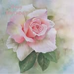 Teri Pringle Butler Wood - @teripringlebutler - Instagram