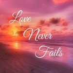 Terri L Pyle - @lotsapyles - Instagram