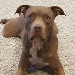 Terri Reece - @terrireece1 - Instagram