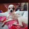 Terrie Reece - @terrie.reece - TikTok
