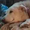 terrireece72 - @terrireece72 - TikTok