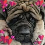 Terri Richter - @terri29998 - Instagram