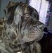 Terri Richter - Facebook
