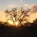 Terri Ricker - Facebook