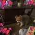 Terry Ricker - Facebook