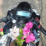 Pandu Pandu - @x_terrible_rider_327 - Instagram