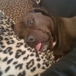 Terri Ritchie - @terriritchie69 - Instagram