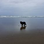 Terri Roche - @terriroche2403 - Instagram
