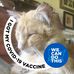 Terri Roche - Facebook