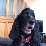Terry Roche - @terry.roche.10 - Instagram