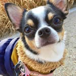 Terri Rouse - @terri.rouse.330 - Instagram