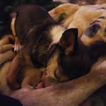 Terri Rouse - @rouse6088 - Instagram