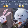 Terri Bogar Rubio - @terribogarrubio - TikTok