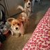 Terri Marie Sadler - Facebook