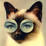 Terri Sadler - @tsadler13 - Instagram