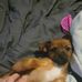 Terri Sadler - Facebook