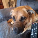 Terri Sanborn - @terrisanborn - Instagram