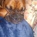 Terri Sanborn - Facebook