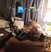 Theresa Sarno - Facebook
