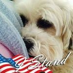 Terri Scheidler - @terrischeidler - Instagram