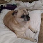 terri schmidt - @terrischmidt2520 - Instagram