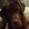 Terri Seaton - @terri.seaton - TikTok