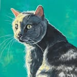 Terri See Craig - @katzkeeper - Instagram