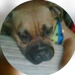 Terri Shaffer - @titof15958 - Instagram