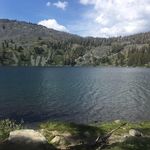 Terri Anselmo Shapiro - @tshapiro67 - Instagram