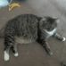 Terri Shapiro - Facebook