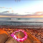 Terri Schiponi Sharpe - @sharpeta511 - Instagram