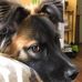 Terri Sharpe - Facebook