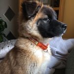 Terri Sharpe - @tsharpe007 - Instagram